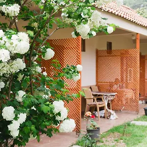 Village Garden Проживание в семье Анталья